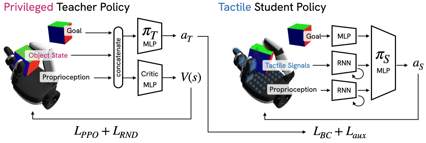 Privileged teacher and tactile student architecture